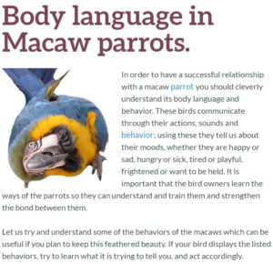 macaw facts, macaw parrot, body language