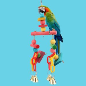 Blue Macaw toys