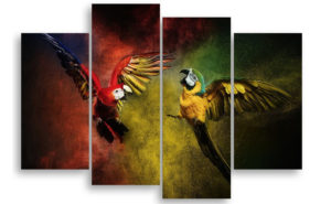 Macaw Parrot Painting